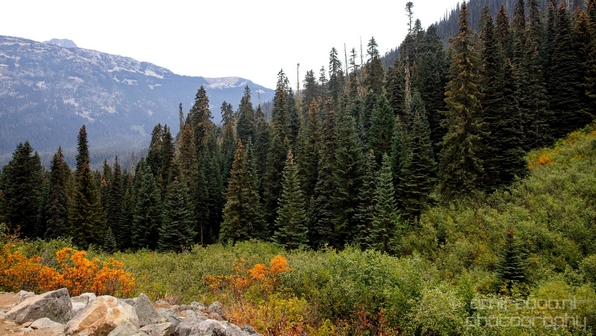 Joffre_Lakes_Provincial_Park_British_Columbia_nature_landscape_Canada_Usa_Photography_189_Canon_EOS_5D_Mark_IV.JPG