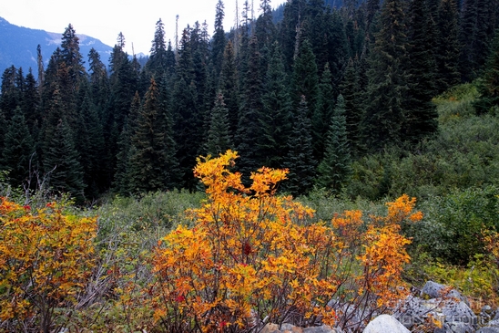 Joffre_Lakes_Provincial_Park_British_Columbia_nature_landscape_Canada_Usa_Photography_190_Canon_EOS_5D_Mark_IV.JPG