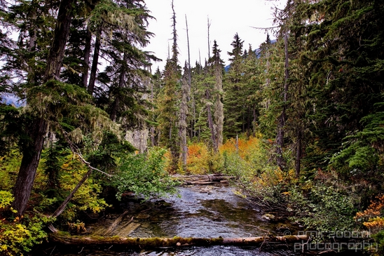 Joffre_Lakes_Provincial_Park_British_Columbia_nature_landscape_Canada_Usa_Photography_198_Canon_EOS_5D_Mark_IV.JPG