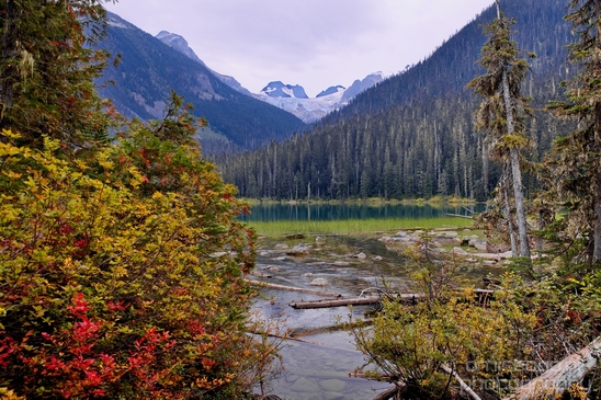 Joffre_Lakes_Provincial_Park_British_Columbia_nature_landscape_Canada_Usa_Photography_199_Canon_EOS_5D_Mark_IV.JPG
