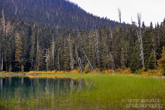 Joffre_Lakes_Provincial_Park_British_Columbia_nature_landscape_Canada_Usa_Photography_204_Canon_EOS_5D_Mark_IV.JPG