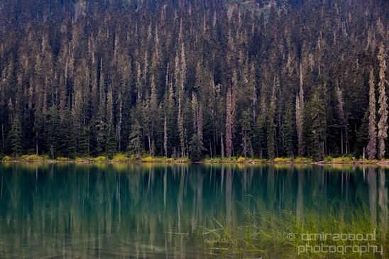Joffre_Lakes_Provincial_Park_British_Columbia_nature_landscape_Canada_Usa_Photography_206_Canon_EOS_5D_Mark_IV.JPG