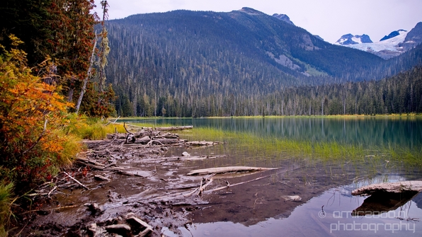 Joffre_Lakes_Provincial_Park_British_Columbia_nature_landscape_Canada_Usa_Photography_207_Canon_EOS_5D_Mark_IV.JPG