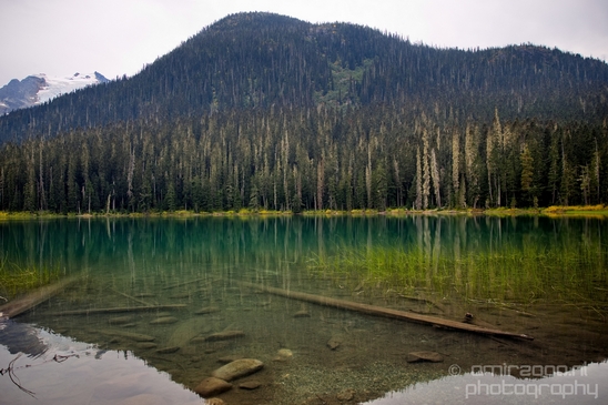 Joffre_Lakes_Provincial_Park_British_Columbia_nature_landscape_Canada_Usa_Photography_208_Canon_EOS_5D_Mark_IV.JPG