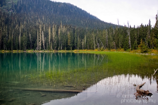 Joffre_Lakes_Provincial_Park_British_Columbia_nature_landscape_Canada_Usa_Photography_209_Canon_EOS_5D_Mark_IV.JPG