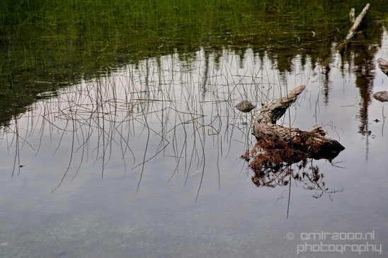 Joffre_Lakes_Provincial_Park_British_Columbia_nature_landscape_Canada_Usa_Photography_211_Canon_EOS_5D_Mark_IV.JPG