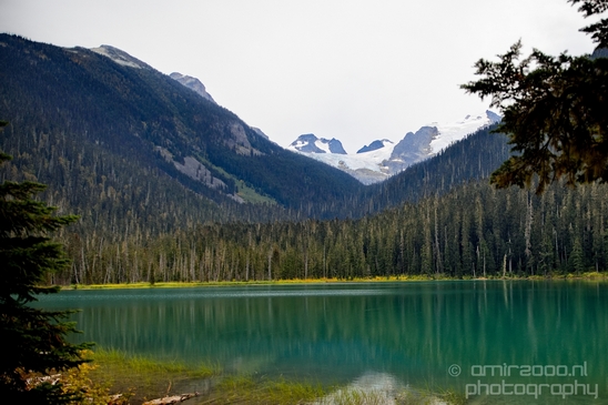 Joffre_Lakes_Provincial_Park_British_Columbia_nature_landscape_Canada_Usa_Photography_213_Canon_EOS_5D_Mark_IV.JPG