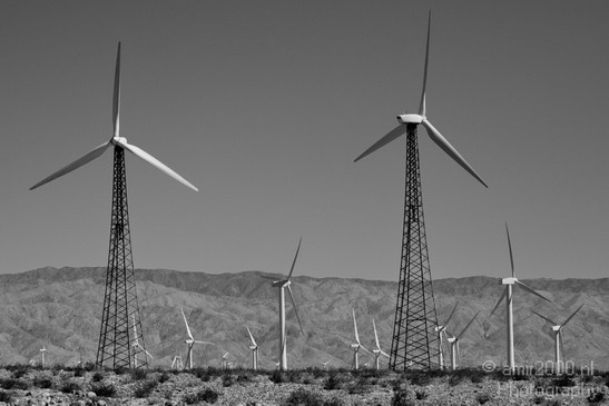 Joshua_Tree_National_Park_California_USA_Nature_Photography_002_Canon_EOS_7D.JPG