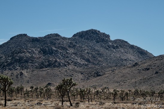Joshua_Tree_National_Park_California_USA_Nature_Photography_011_Canon_EOS_7D.JPG