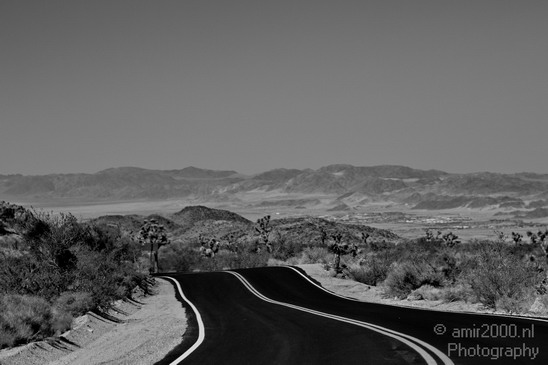 Joshua_Tree_National_Park_California_USA_Nature_Photography_021_Canon_EOS_7D.JPG