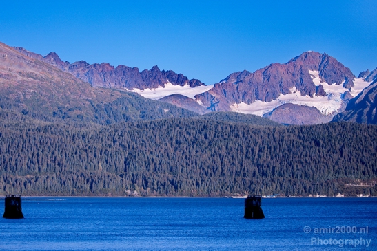 Kenai_Peninsula_Alaska_nature_from_the_boat_Usa_Photography_003_Canon_EOS_5D_Mark_IV.JPG