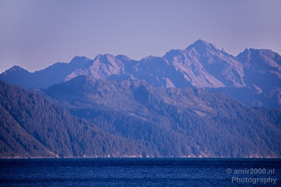 Kenai_Peninsula_Alaska_nature_from_the_boat_Usa_Photography_004_Canon_EOS_5D_Mark_IV.JPG