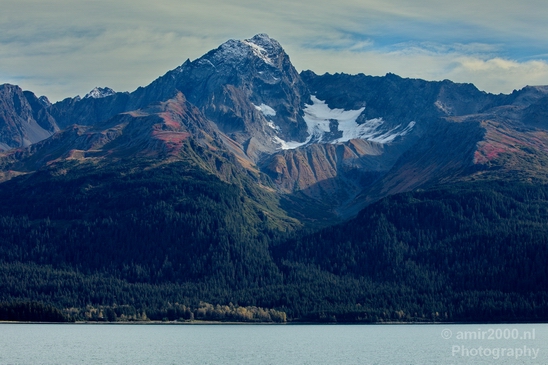 Kenai_Peninsula_Alaska_nature_from_the_boat_Usa_Photography_013_Canon_EOS_5D_Mark_IV.JPG