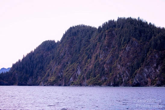 Kenai_Peninsula_Alaska_nature_from_the_boat_Usa_Photography_015_Canon_EOS_5D_Mark_IV.JPG
