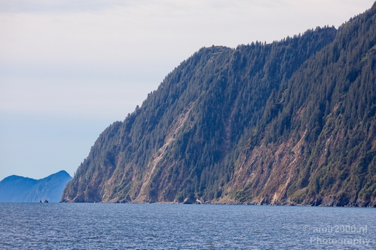 Kenai_Peninsula_Alaska_nature_from_the_boat_Usa_Photography_016_Canon_EOS_5D_Mark_IV.JPG
