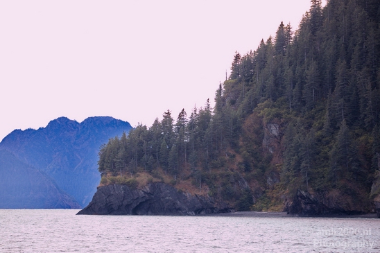 Kenai_Peninsula_Alaska_nature_from_the_boat_Usa_Photography_017_Canon_EOS_5D_Mark_IV.JPG