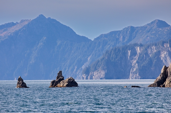 Kenai_Peninsula_Alaska_nature_from_the_boat_Usa_Photography_019_Canon_EOS_5D_Mark_IV.JPG