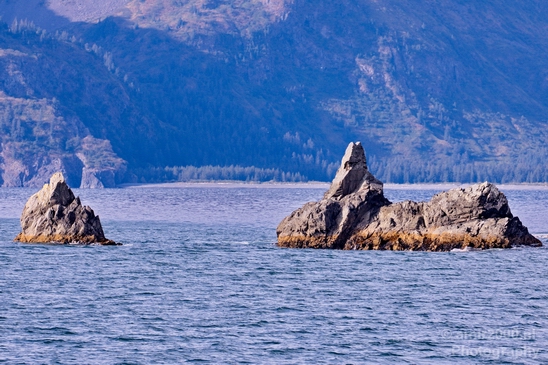 Kenai_Peninsula_Alaska_nature_from_the_boat_Usa_Photography_020_Canon_EOS_5D_Mark_IV.JPG