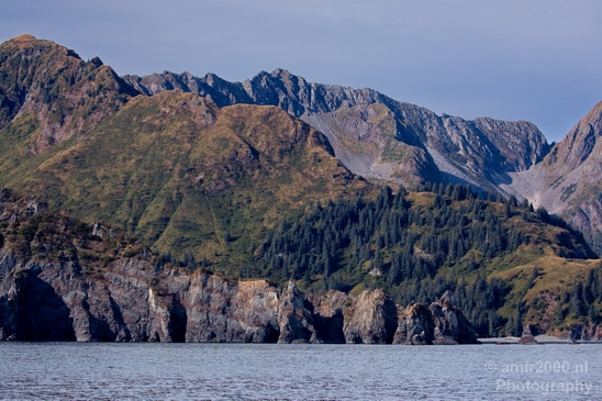 Kenai_Peninsula_Alaska_nature_from_the_boat_Usa_Photography_021_Canon_EOS_5D_Mark_IV.JPG