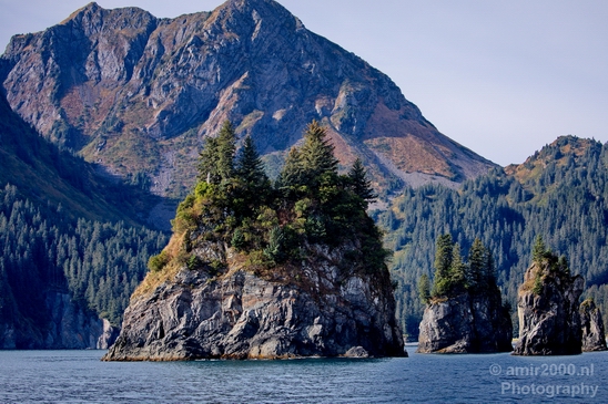 Kenai_Peninsula_Alaska_nature_from_the_boat_Usa_Photography_022_Canon_EOS_5D_Mark_IV.JPG