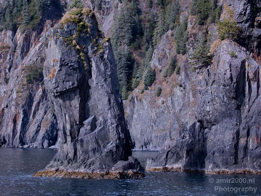 Kenai_Peninsula_Alaska_nature_from_the_boat_Usa_Photography_025_Canon_EOS_5D_Mark_IV.JPG