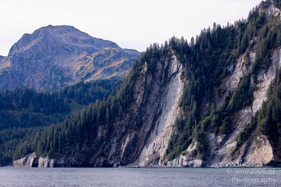 Kenai_Peninsula_Alaska_nature_from_the_boat_Usa_Photography_029_Canon_EOS_5D_Mark_IV.JPG
