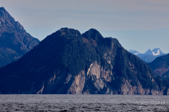Kenai_Peninsula_Alaska_nature_from_the_boat_Usa_Photography_031_Canon_EOS_5D_Mark_IV.JPG