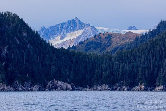 Kenai_Peninsula_Alaska_nature_from_the_boat_Usa_Photography_035_Canon_EOS_5D_Mark_IV.JPG