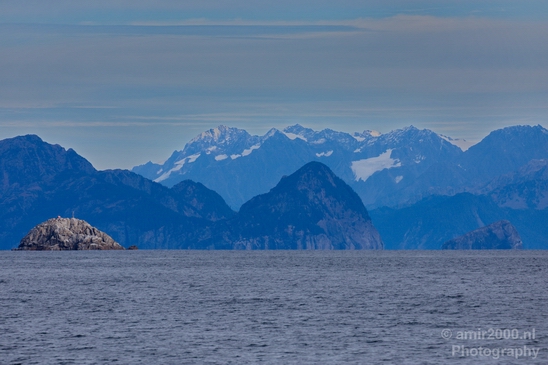 Kenai_Peninsula_Alaska_nature_from_the_boat_Usa_Photography_046_Canon_EOS_5D_Mark_IV.JPG