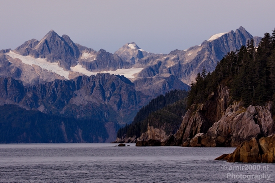 Kenai_Peninsula_Alaska_nature_from_the_boat_Usa_Photography_047_Canon_EOS_5D_Mark_IV.JPG