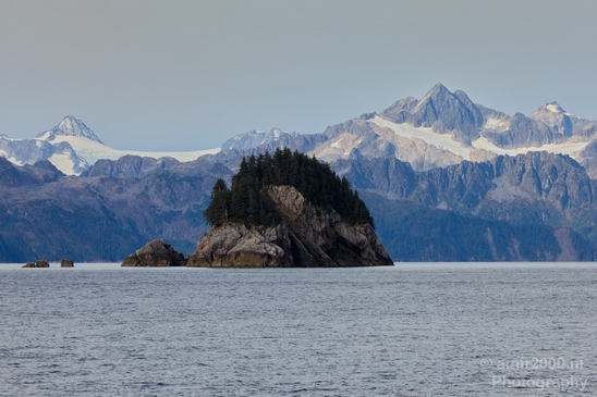 Kenai_Peninsula_Alaska_nature_from_the_boat_Usa_Photography_048_Canon_EOS_5D_Mark_IV.JPG