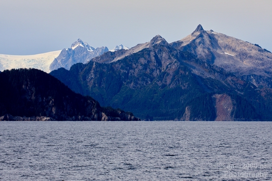 Kenai_Peninsula_Alaska_nature_from_the_boat_Usa_Photography_049_Canon_EOS_5D_Mark_IV.JPG