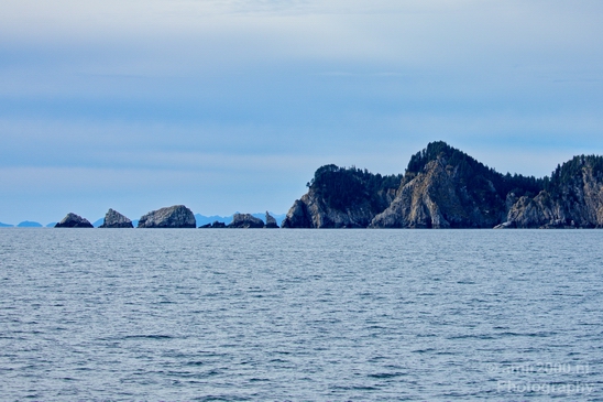 Kenai_Peninsula_Alaska_nature_from_the_boat_Usa_Photography_050_Canon_EOS_5D_Mark_IV.JPG