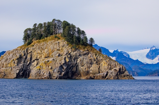 Kenai_Peninsula_Alaska_nature_from_the_boat_Usa_Photography_074_Canon_EOS_5D_Mark_IV.JPG