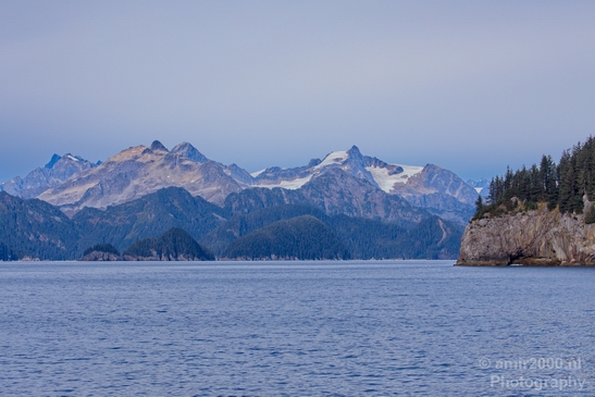 Kenai_Peninsula_Alaska_nature_from_the_boat_Usa_Photography_079_Canon_EOS_5D_Mark_IV.JPG