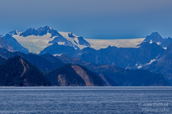 Kenai_Peninsula_Alaska_nature_from_the_boat_Usa_Photography_081_Canon_EOS_5D_Mark_IV.JPG