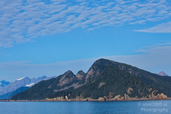 Kenai_Peninsula_Alaska_nature_from_the_boat_Usa_Photography_084_Canon_EOS_5D_Mark_IV.JPG