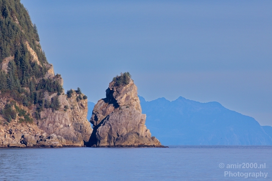 Kenai_Peninsula_Alaska_nature_from_the_boat_Usa_Photography_087_Canon_EOS_5D_Mark_IV.JPG