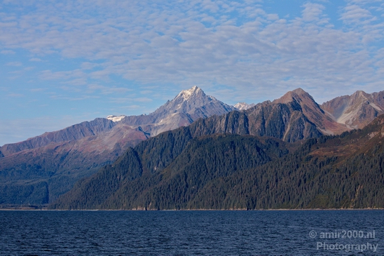 Kenai_Peninsula_Alaska_nature_from_the_boat_Usa_Photography_097_Canon_EOS_5D_Mark_IV.JPG