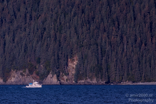 Kenai_Peninsula_Alaska_nature_from_the_boat_Usa_Photography_099_Canon_EOS_5D_Mark_IV.JPG