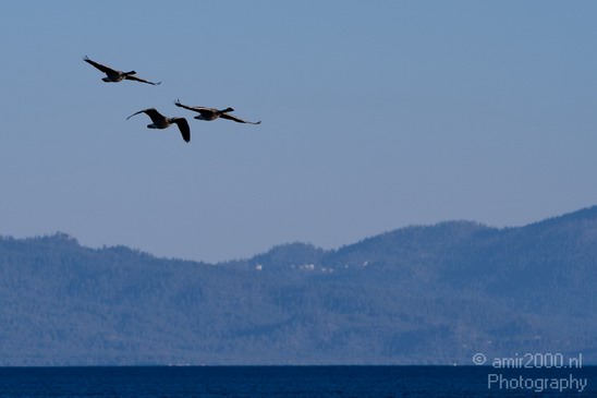 Lake_Tahoe_usa_Nature_Photography_003_Canon_EOS_7D.JPG