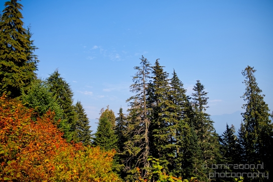 Lake_TwentyTwo_Granite_Falls_Washington_state_nature_landscape_Usa_Photography_025_Canon_EOS_5D_Mark_IV.JPG