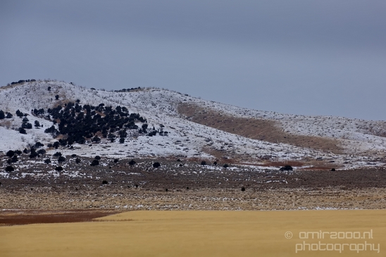 Landscape_Nature_Utah_Idaho_Nevada_USA_winter_scenery_road_trip_Photography_005_Canon_EOS_5D_Mark_IV.JPG