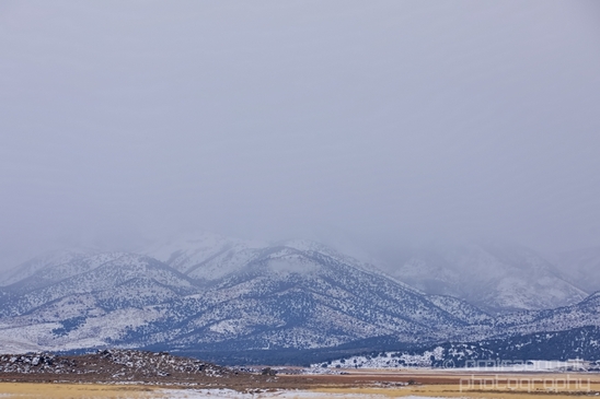 Landscape_Nature_Utah_Idaho_Nevada_USA_winter_scenery_road_trip_Photography_013_Canon_EOS_5D_Mark_IV.JPG