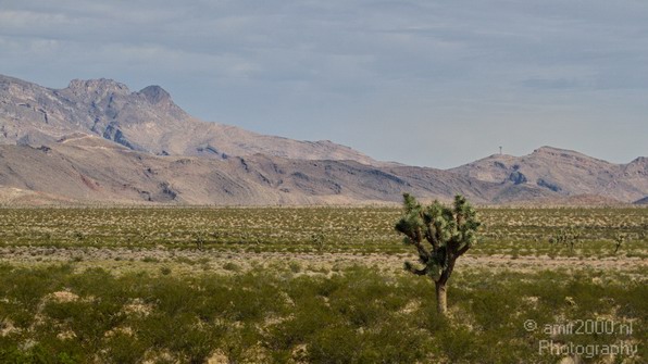 Landscape_Nevada_USA_Nature_Photography_021_Canon_EOS_7D.JPG