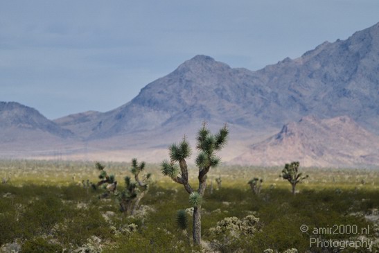 Landscape_Nevada_USA_Nature_Photography_022_Canon_EOS_7D.JPG