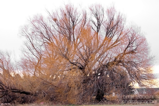 Landscape_nature_Utah_Idaho_Nevada_Arizona_USA_autumn_scenery_Photography_003_Canon_EOS_5D_Mark_IV.JPG