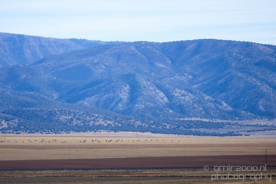 Landscape_nature_Utah_Idaho_Nevada_Arizona_USA_autumn_scenery_Photography_026_Canon_EOS_5D_Mark_IV.JPG