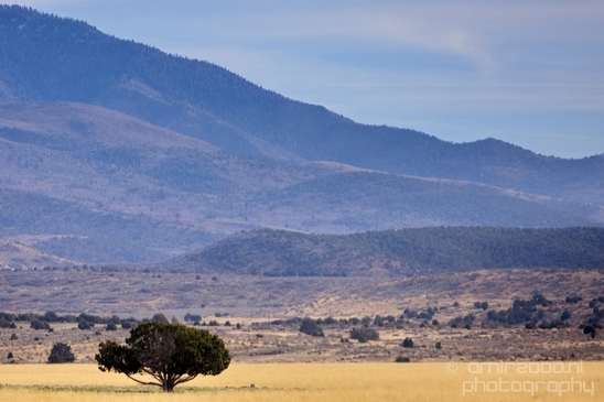 Landscape_nature_Utah_Idaho_Nevada_Arizona_USA_autumn_scenery_Photography_044_Canon_EOS_5D_Mark_IV.JPG