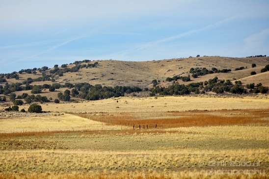 Landscape_nature_Utah_Idaho_Nevada_Arizona_USA_autumn_scenery_Photography_047_Canon_EOS_5D_Mark_IV.JPG